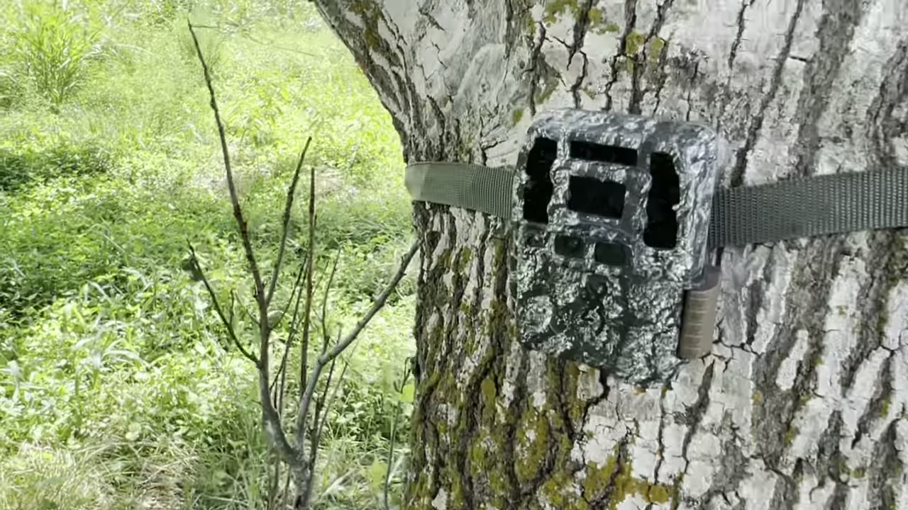 A camouflaged Browning Dark Ops Pro DCL Nano trail camera strapped to a tree beside a field